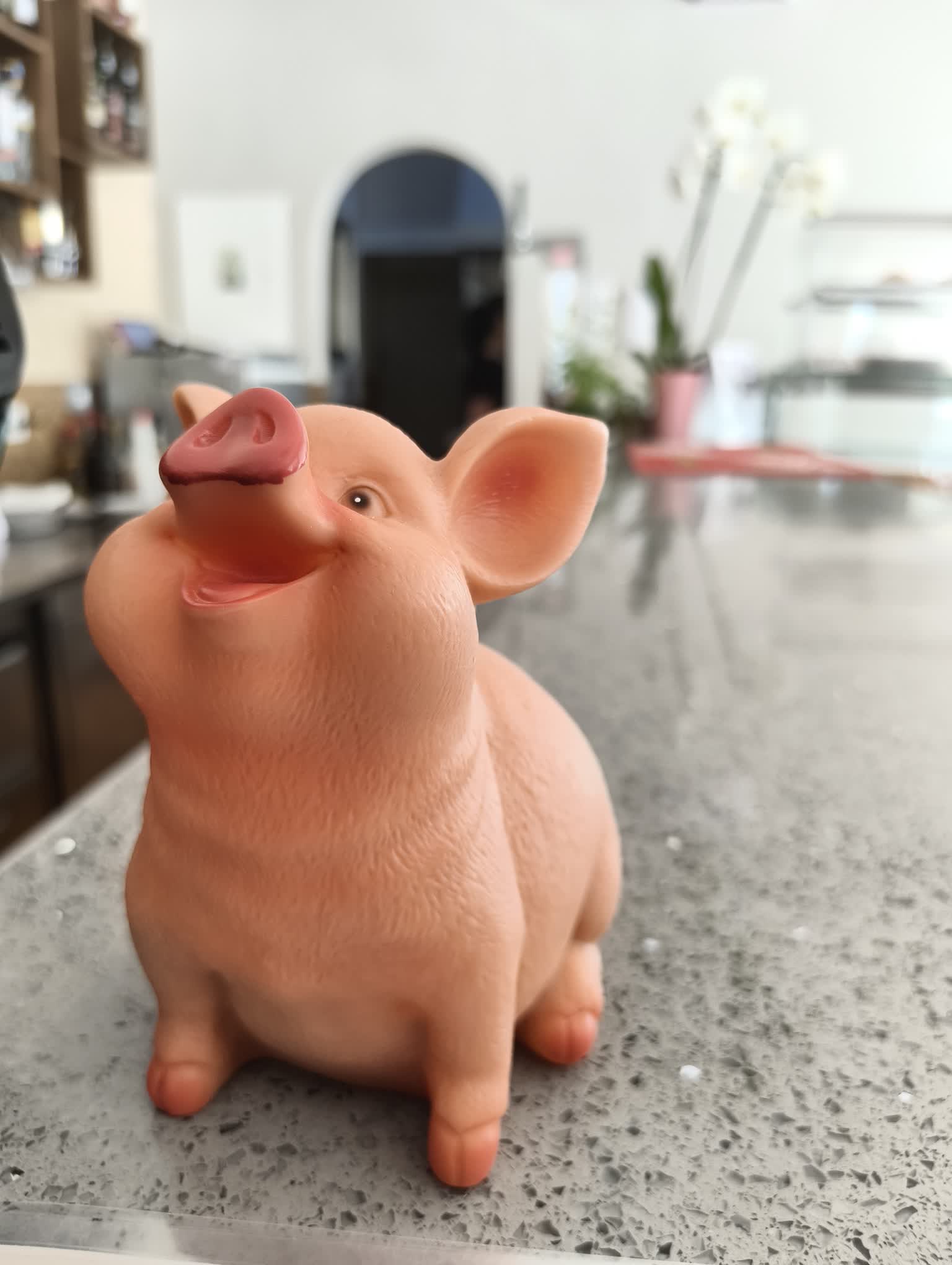 O Nosso Chef a Cozinhar